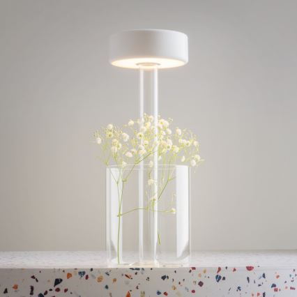 Maytoni MOD229TL-L3W3K1 - LED Ljusreglerad uppladdningsbar bärbar bordslampa LED/3W/5V 2200-4000K vit/genomskinlig