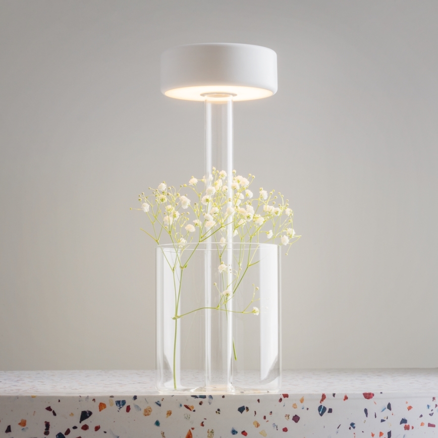 Maytoni MOD229TL-L3W3K1 - LED Ljusreglerad uppladdningsbar bärbar bordslampa LED/3W/5V 2200-4000K vit/genomskinlig