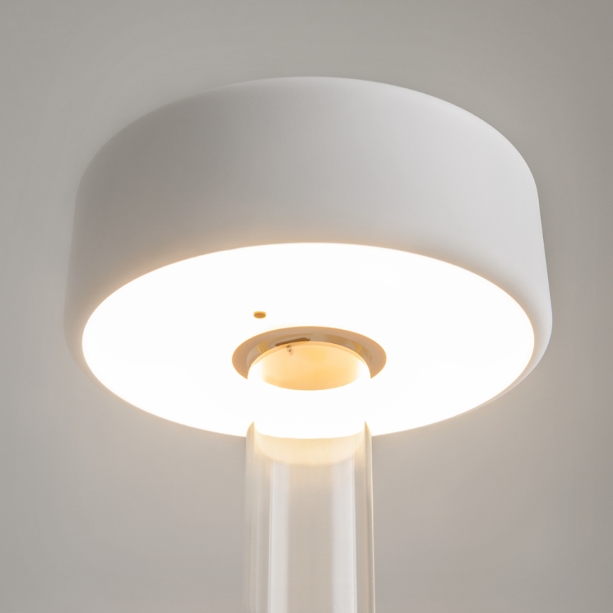 Maytoni MOD229TL-L3W3K1 - LED Ljusreglerad uppladdningsbar bärbar bordslampa LED/3W/5V 2200-4000K vit/genomskinlig