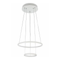 Maytoni MOD807-PL-02-36-W - LED Ljuskrona med snöre NOLA LED/36W/230V
