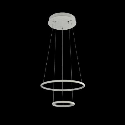 Maytoni MOD807-PL-02-36-W - LED Ljuskrona med snöre NOLA LED/36W/230V