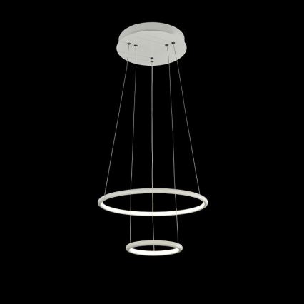 Maytoni MOD807-PL-02-36-W - LED Ljuskrona med snöre NOLA LED/36W/230V