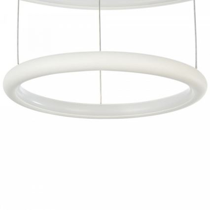 Maytoni MOD807-PL-02-36-W - LED Ljuskrona med snöre NOLA LED/36W/230V