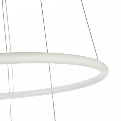 Maytoni MOD807-PL-02-36-W - LED Ljuskrona med snöre NOLA LED/36W/230V