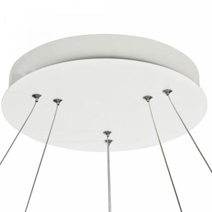 Maytoni MOD807-PL-02-85-W - LED-lampa i kabel NOLA LED/85W/230V