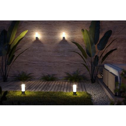 Maytoni O418WL-01GR - Vägglampa för utomhusbruk WILLIS 1xE27/60W/230V IP54 antracit