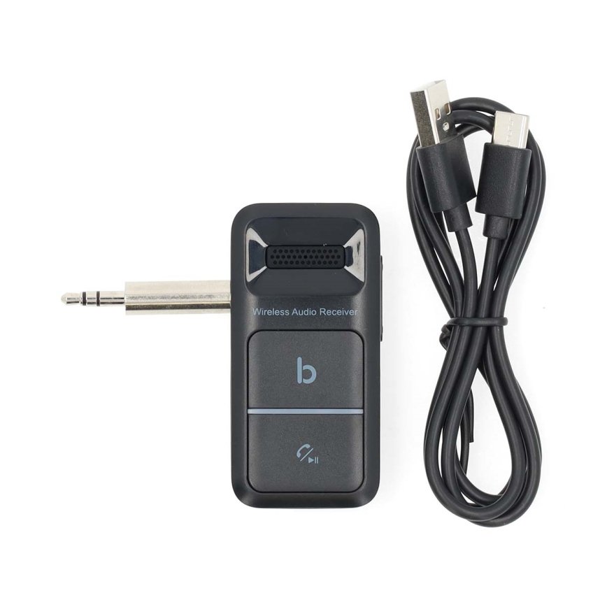 Bärbar Bluetooth AUX Mottagare