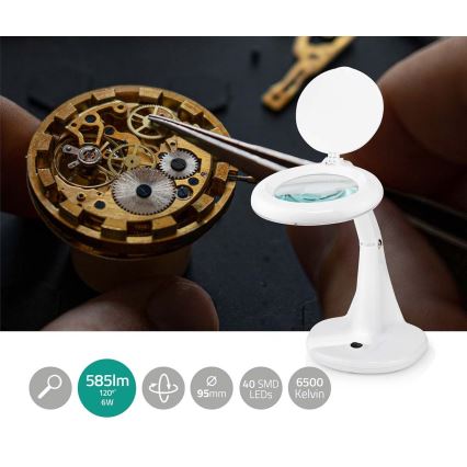 LED bordslampa med en magnifier LED/6,5W/230V 6500K