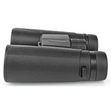 Kikare 10x42