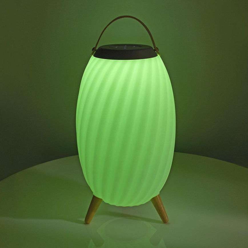 LED RGB Uppladdningsbar bordslampa med en högtalare 60W/2200 mAh IPX5