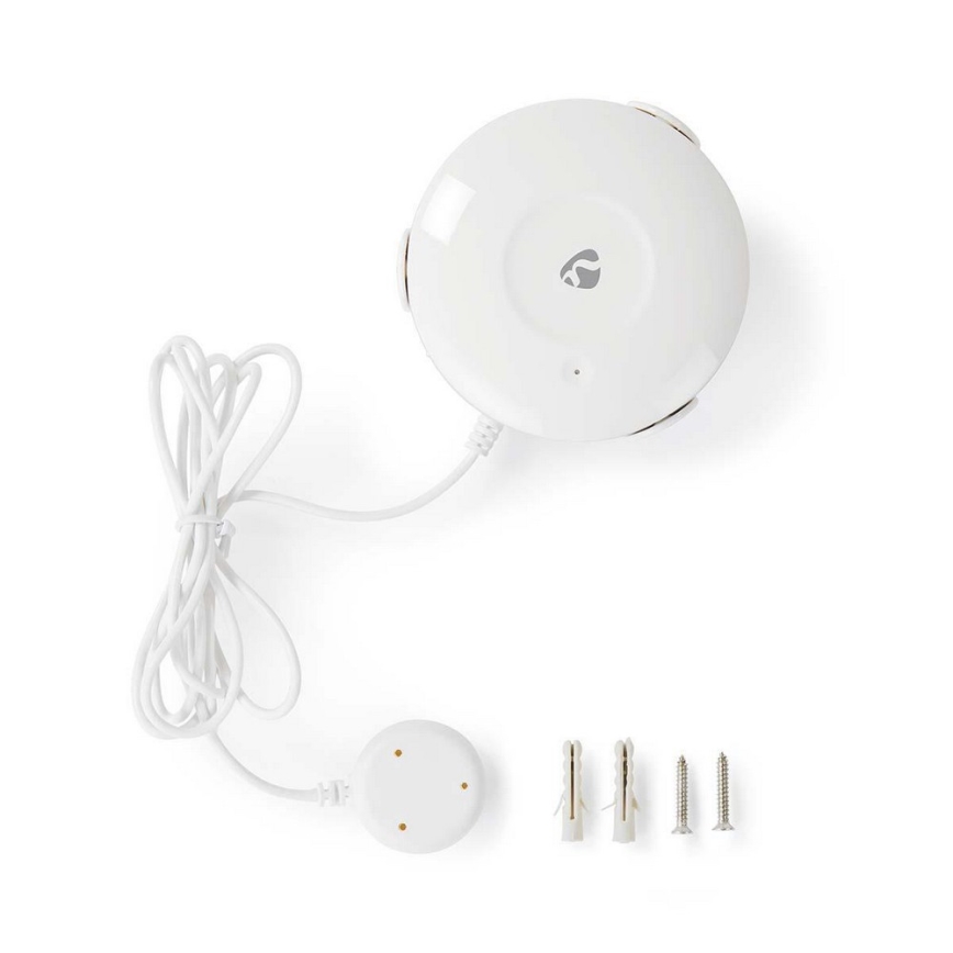 Vattenläckagedetektor 3V/1xCR123A + 1xCR2/20dBm Wi-Fi