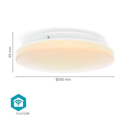 LED RGBW Ljusreglerad vägglampa för badrum SmartLife LED/18W/230V 2700-6500K IP44 Wi-Fi Tuya