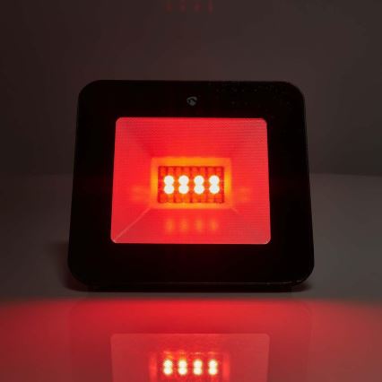 LED RGBW Ljusreglerad strålkastare SmartLife LED/20W/230V Wi-Fi IP65 2700-6500K