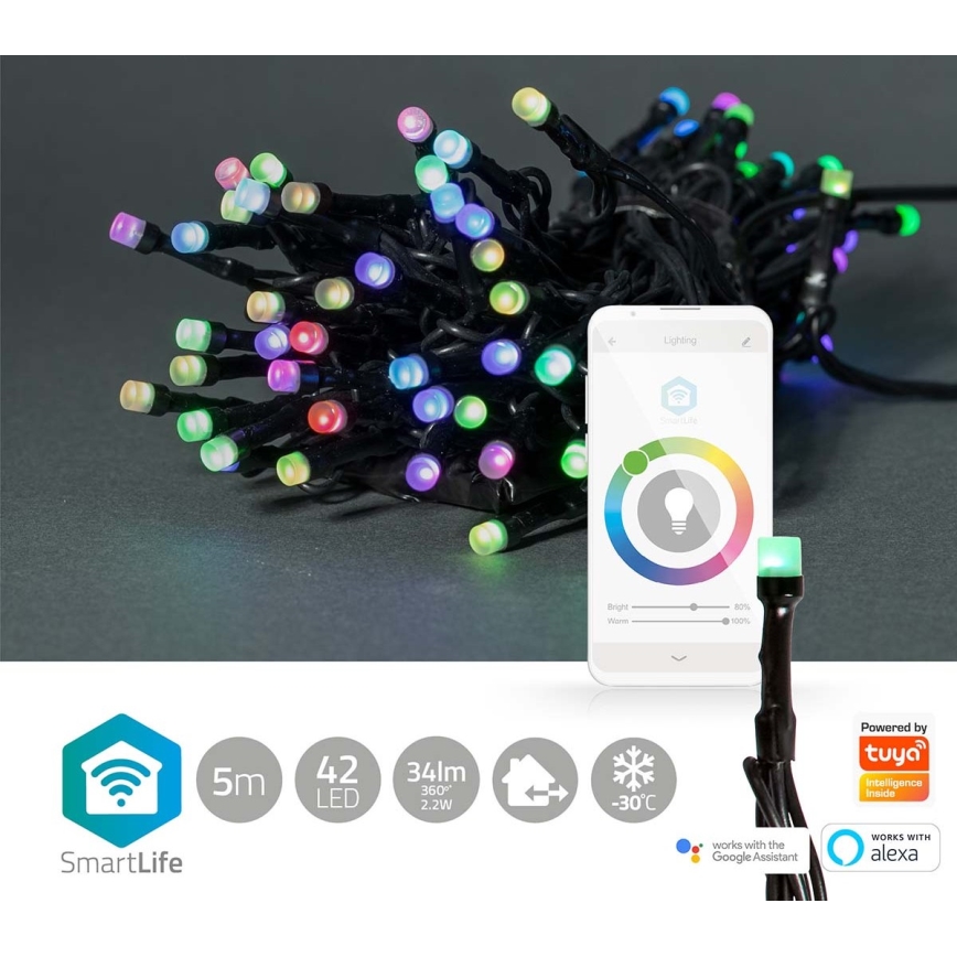 Nedis WIFILX01C42-LED RGB Utomhusslinga 42xLED/8 funktioner 8m IP65 Wi-Fi Tuya