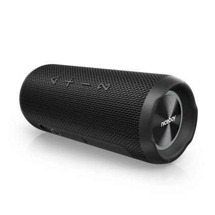 Niceboy Nexus - LED Trådlös högtalare Med en mikrofon 26W/4000 mAh IPX6 svart