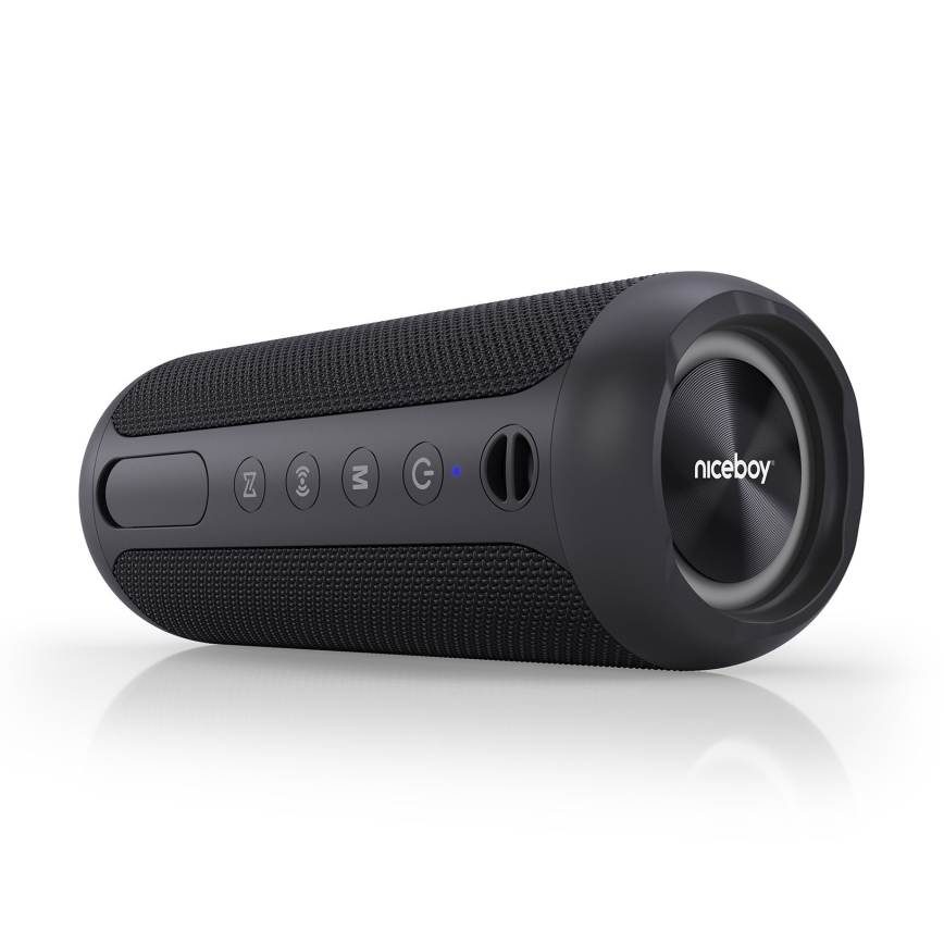 Niceboy Polaris - LED Trådlös högtalare Med en mikrofon 30W/2000 mAh IPX7 svart