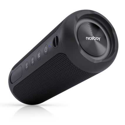Niceboy Polaris - LED Trådlös högtalare Med en mikrofon 30W/2000 mAh IPX7 svart