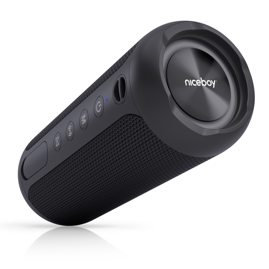 Niceboy Polaris - LED Trådlös högtalare Med en mikrofon 30W/2000 mAh IPX7 svart