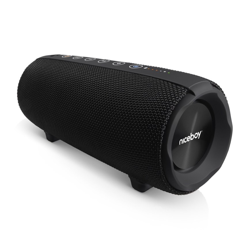 Niceboy Titan 4 - LED Trådlös högtalare Med en mikrofon och powerbank funktion 50W/4000 mAh IPX7 svart