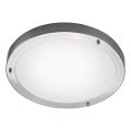 Nordlux - Badrumsplafond ANCONA 2xE27/40W/230V IP43 Ø 31,5 cm mattkrom