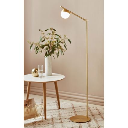 Nordlux - Golvlampa CONTINA 1xG9/5W/230V mässing