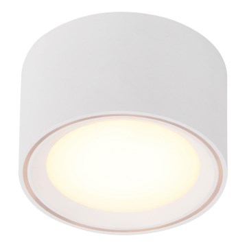 Nordlux - LED spotlight FALLON LED/5,5W/230V vit