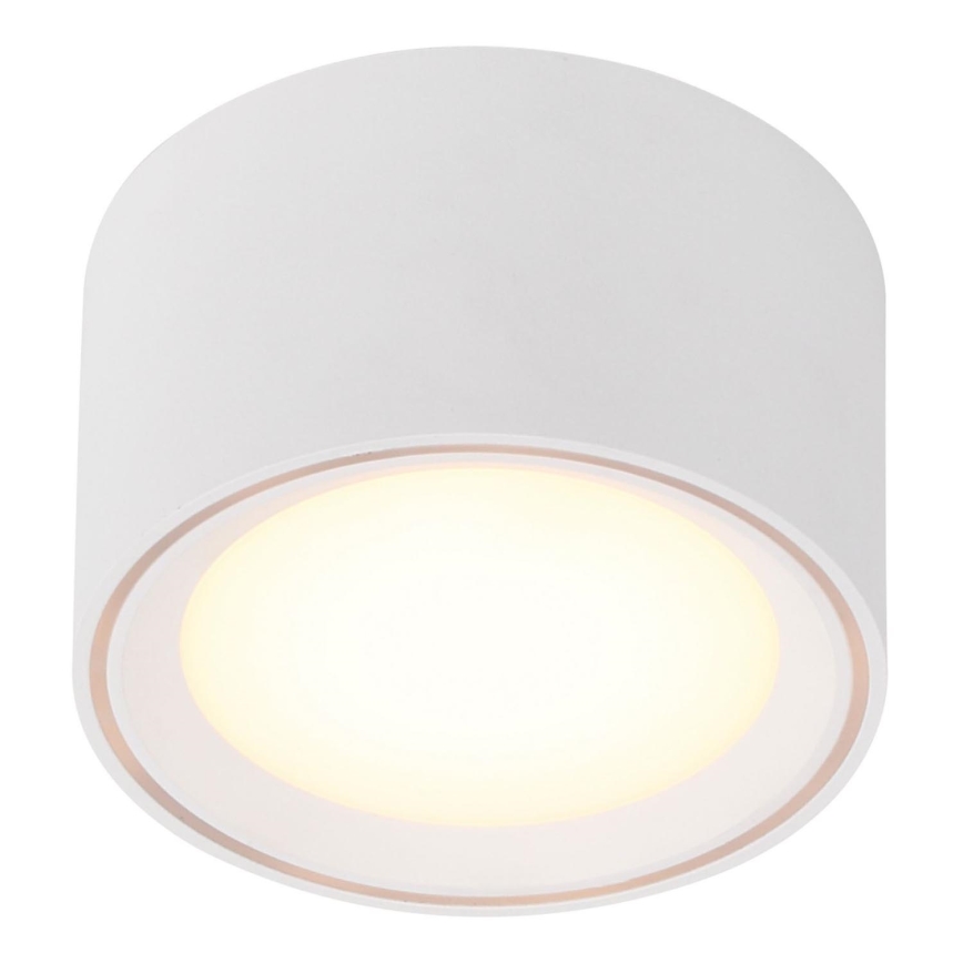 Nordlux - LED spotlight FALLON LED/5,5W/230V vit