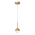 Nordlux - Pendellampa med sladd CONTINA 1xG9/5W/230V mässing