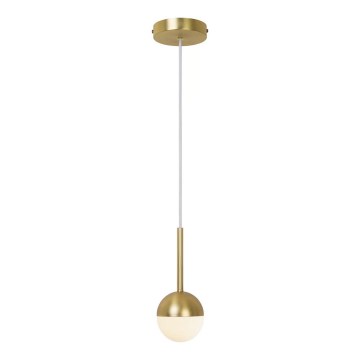 Nordlux - Pendellampa med sladd CONTINA 1xG9/5W/230V mässing