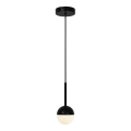 Nordlux - Pendellampa på kabel CONTINA 1xG9/5W/230V svart