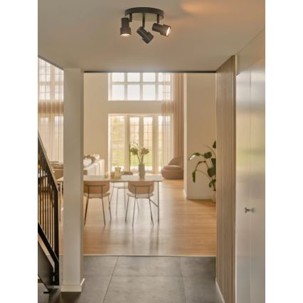 Nordlux - Spotlight BOSTON 3xGU10/5W/230V svart