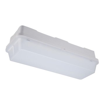 Opple 26277 - LED arbetsbelysning ECOMAX LED/5W/230V IP65