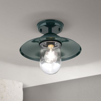 Utomhus ytmonterad ljuskrona EDWARD 1xE27/60W/230V IP44 grön