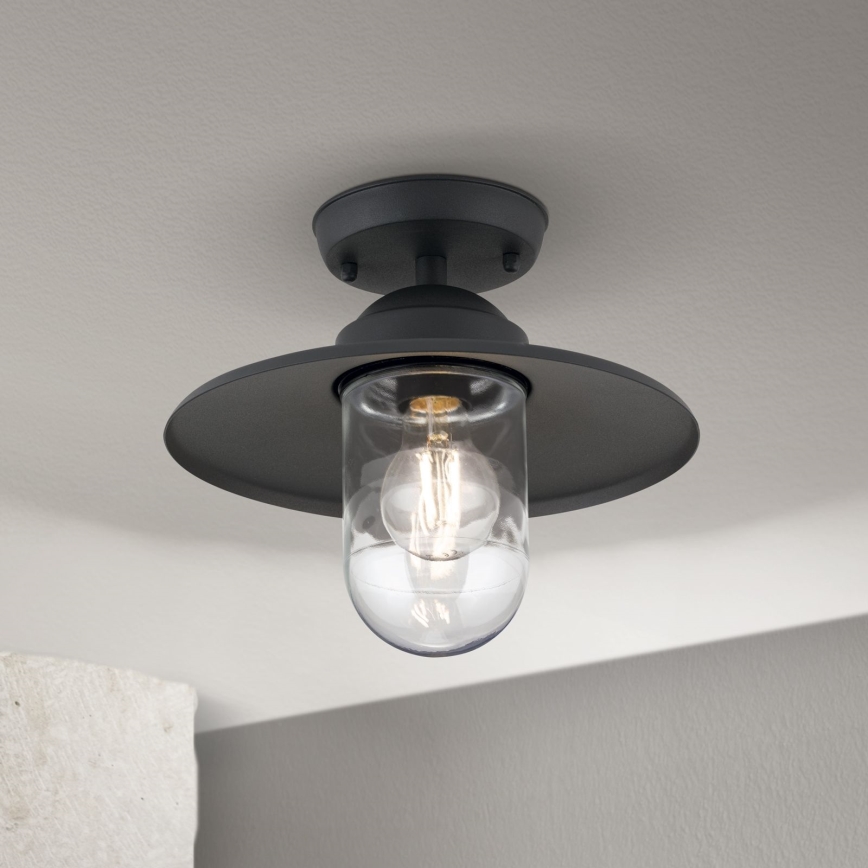 Utomhus ytmonterad ljuskrona EDWARD 1xE27/60W/230V IP44 svart