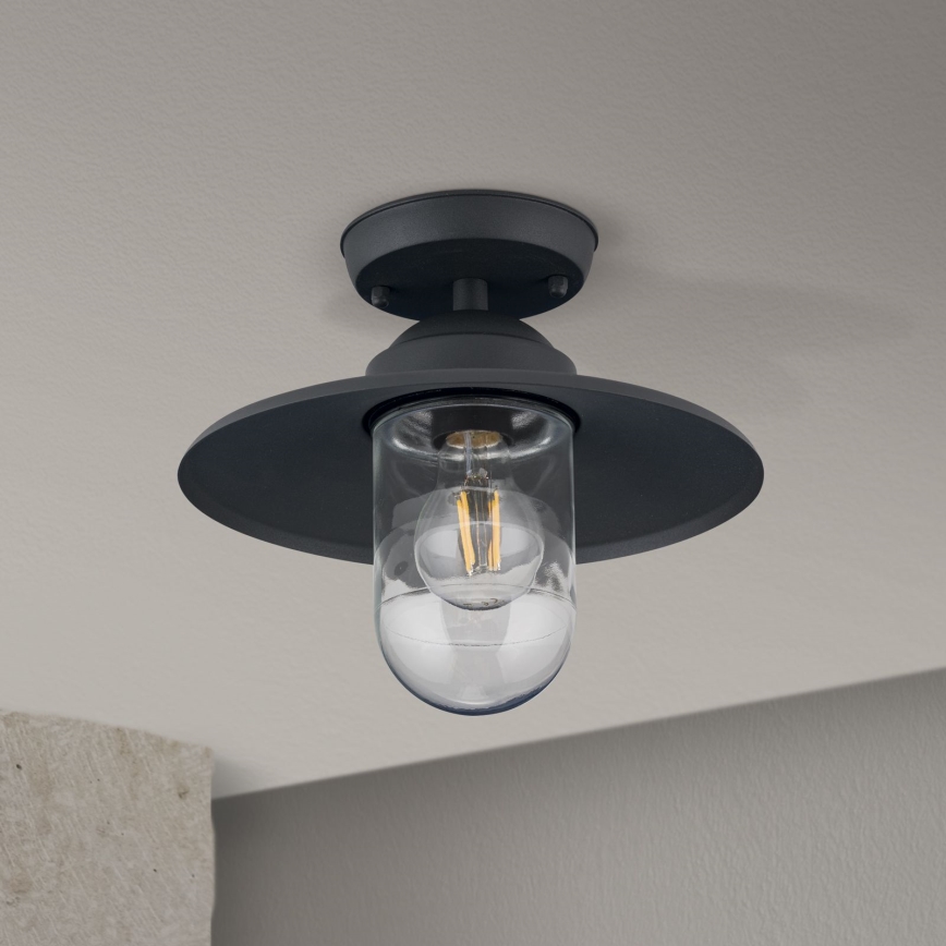 Utomhus ytmonterad ljuskrona EDWARD 1xE27/60W/230V IP44 svart
