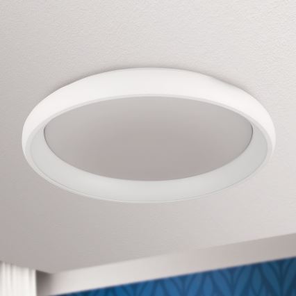 LED Dimbar taklampa VENUS LED/50W/230V diameter 61 cm vit