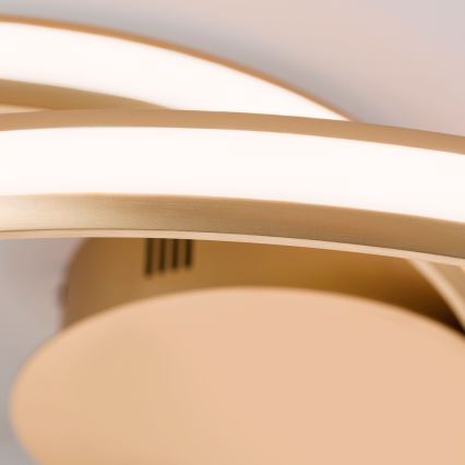 LED Dimbar taklampa CIRCUS LED/30W/230V guld