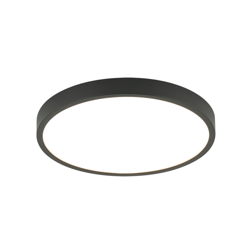 LED taklampa BULLY LED/24W/230V diameter 24 cm svart