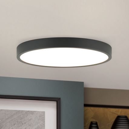 LED taklampa BULLY LED/24W/230V diameter 24 cm svart