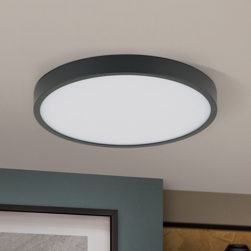 LED taklampa BULLY LED/24W/230V diameter 24 cm svart