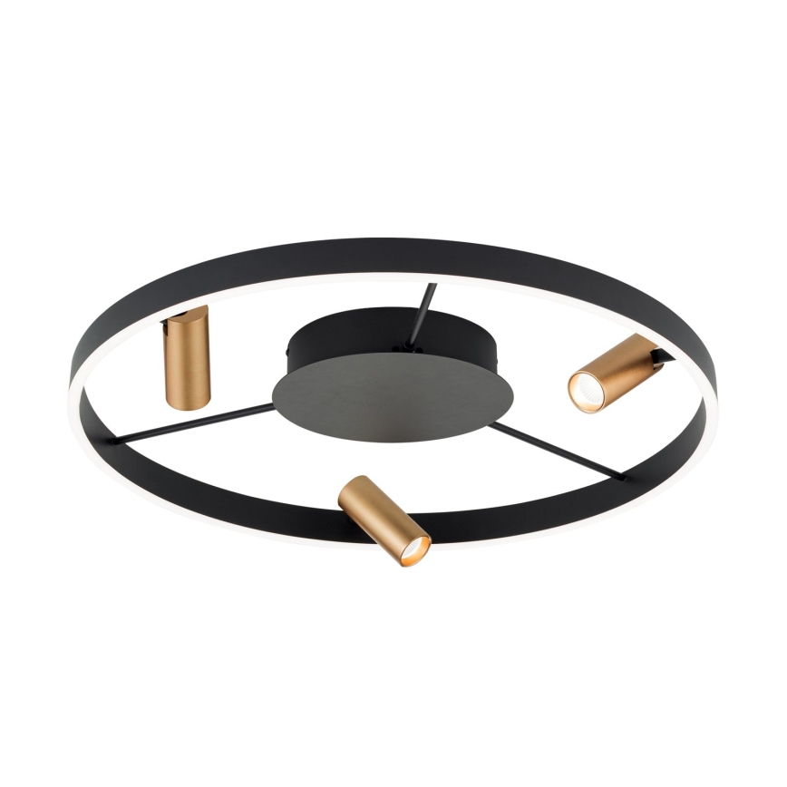 LED Dimbar taklampa BERLIN LED/50W/230V svart/guld