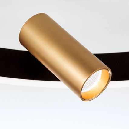 LED Dimbar taklampa BERLIN LED/50W/230V svart/guld