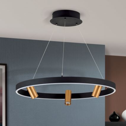 LED ljusreglerad ljuskrona på textilsladd BERLIN LED/50W/230V svart/guld