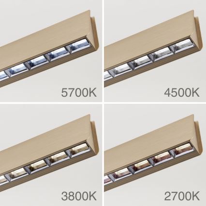 LED ljusreglerad ljuskrona på textilsladd TARA LED/44W/230V 2700/3800/4500/5700K guld
