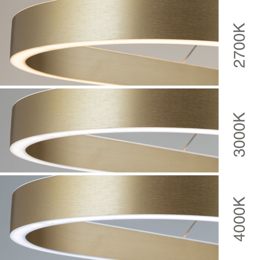 LED-pendel med vajer CARRARA LED/80W/230V 2700/3000/4000K guld