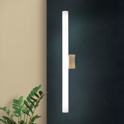 LED väggbelysning VISAGIST 1xS14d/8W/230V mässing