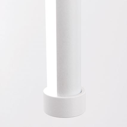 Badrumsspegel med LED-belysning FERDINAND LED/12W/230V IP54 vit