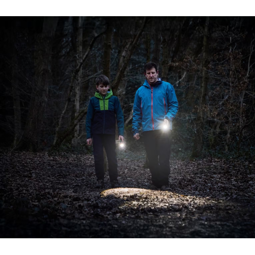 Osram - LED dimbar ficklampa LEDINSPECT TORCH 450 ESSENTIAL LED/6W/3xAAA IP44