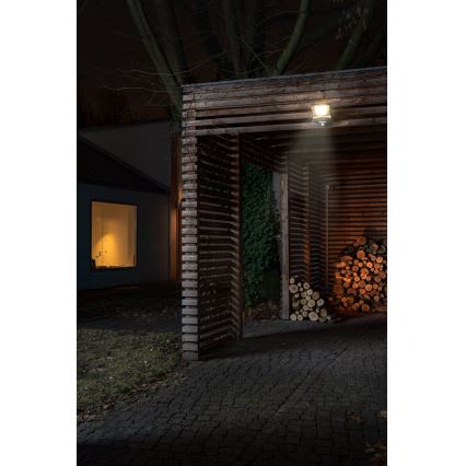 Osram - LED-strålkastare med sensor ENDURA LED/50W/230V 4000K IP44