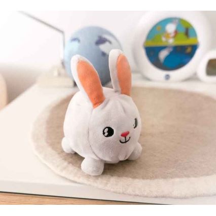 PABOBO - Shining pet SHAKIES bunny 2xCR32
